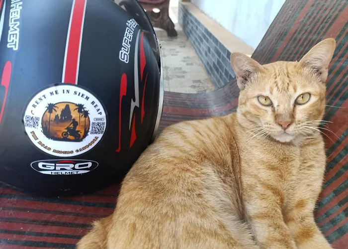 Alloggio in famiglia Road Riders Cambodia Siem Reap